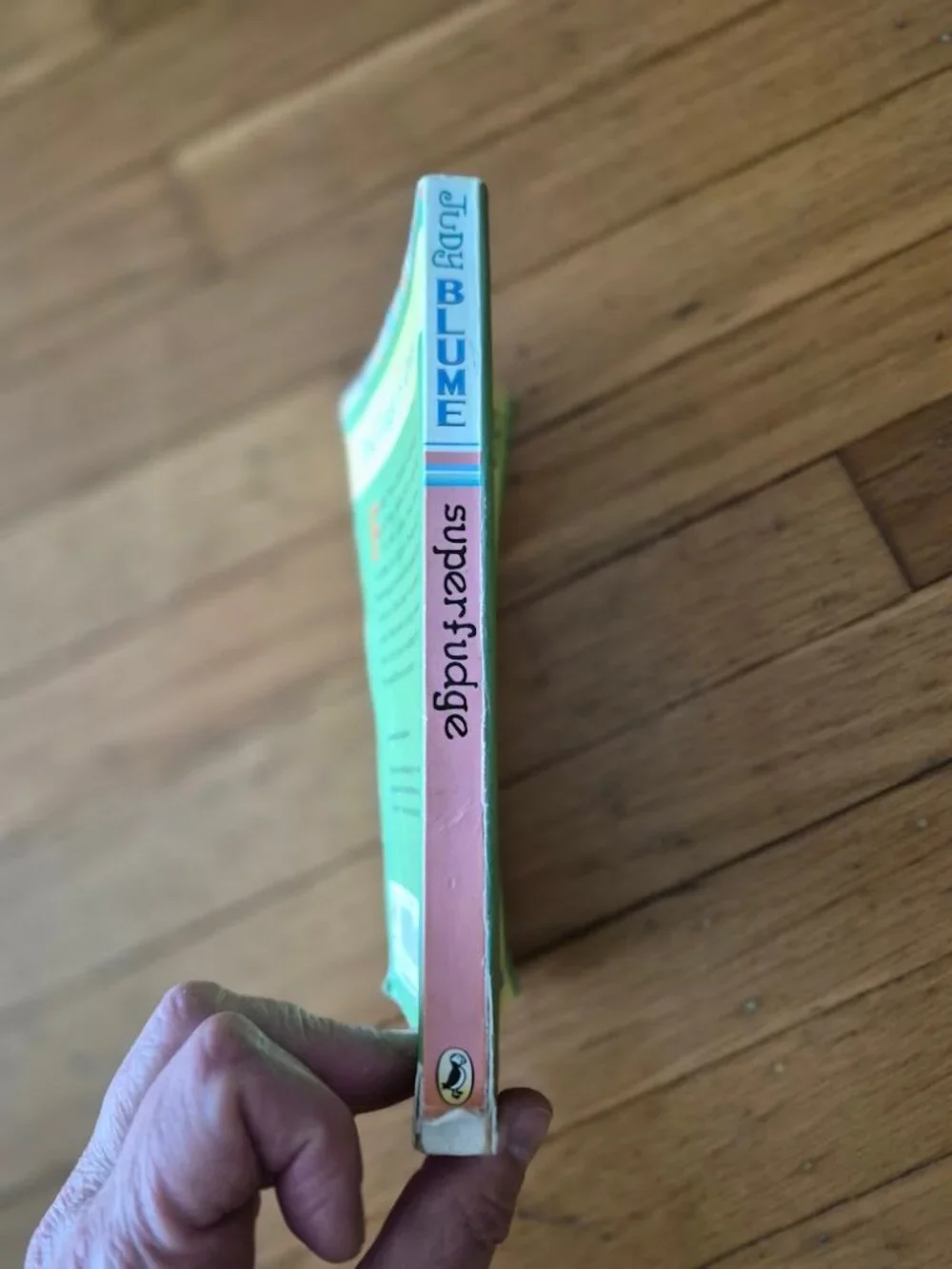 Superfudge Judy Blume